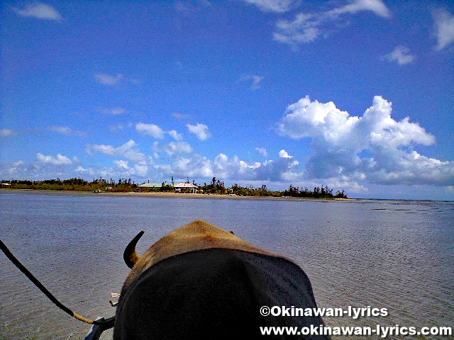 海を渡る水牛車@由布島