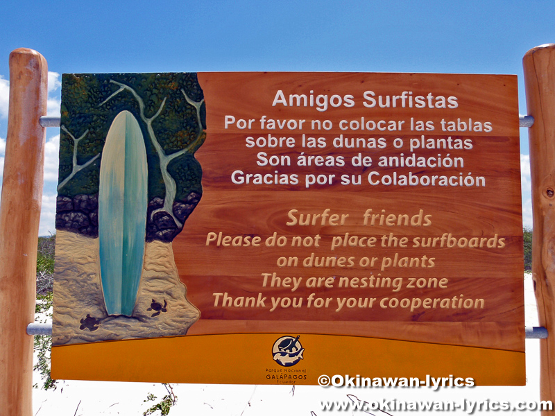 Tortuga Bay@サンタクルス島(Santa Cruz island), ガラパゴス(Galapagos)
