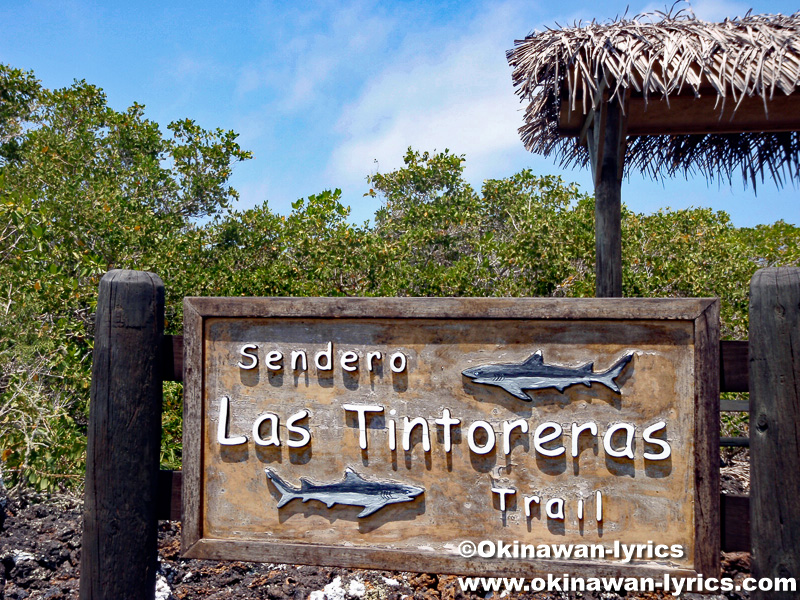 Las Tintoreras@ガラパゴス(Galapagos)