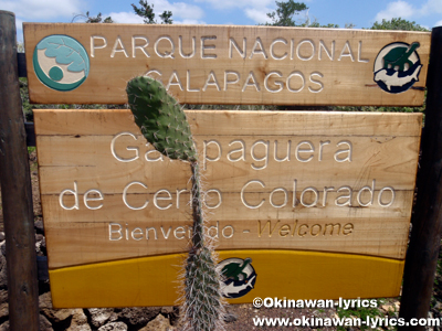 Galapaguera de Cerro Colorado@サンクリストバル島(San Cristobal island), ガラパゴス(Galapagos)