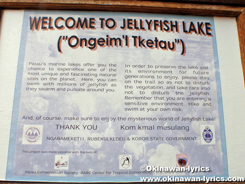 ジェリーフィッシュレイク(Jelly fish lake)@マカラカル島(Macharchar island)