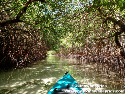 カヤック(kayaking)@ウルクタープル島(geruktabel island), パラオ(Palau)