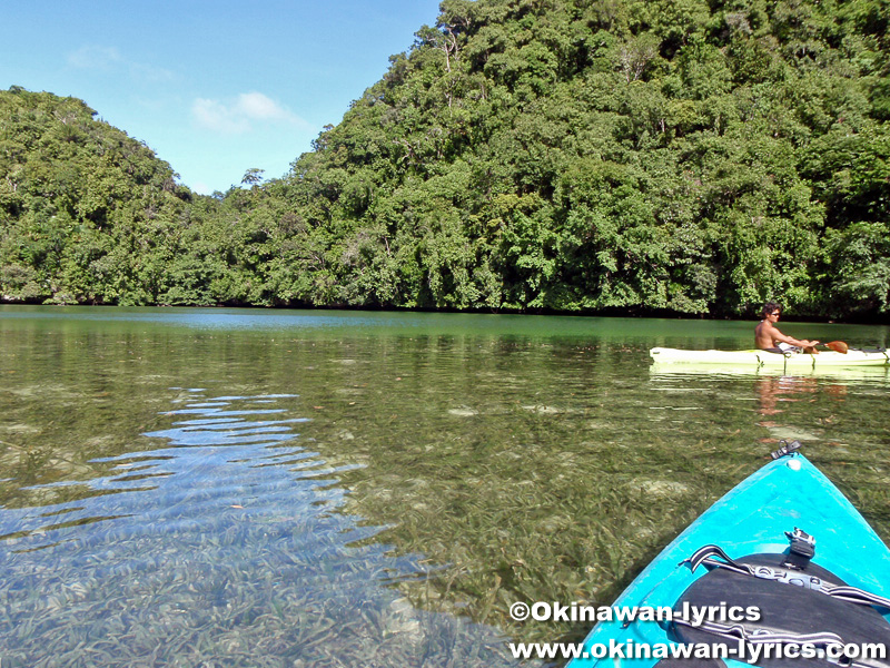 カヤック(kayaking)@ウルクタープル島(geruktabel island), パラオ(Palau)