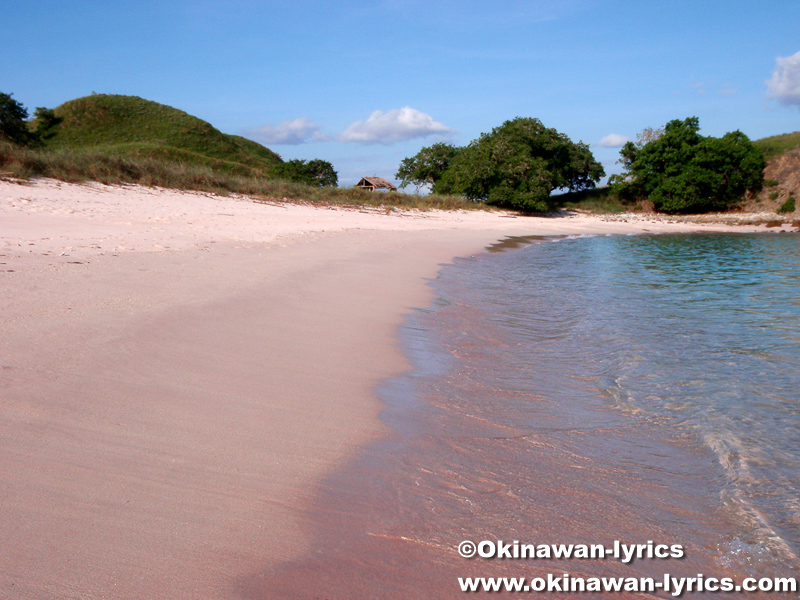 レッドビーチ(Red beach)@コモド島(Komodo island)