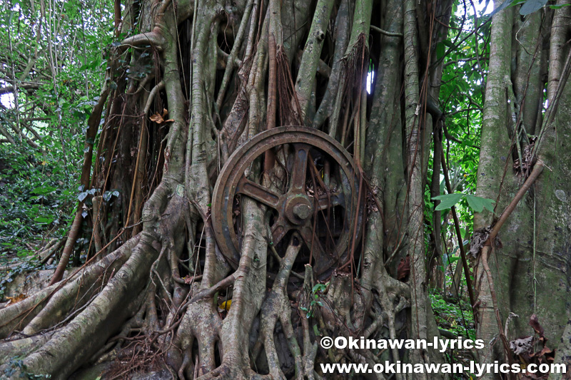日本軍戦跡(Banyan Wheel)@ランガル島(Lenger island)、ポンペイ(ミクロネシア連邦)