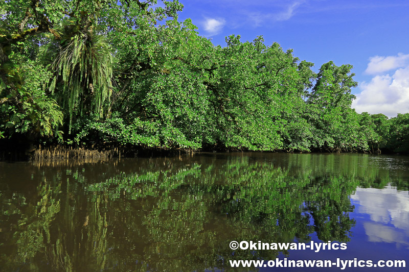 カヤック@Mother Snake’s mangrove channels、コスラエ(ミクロネシア連邦)