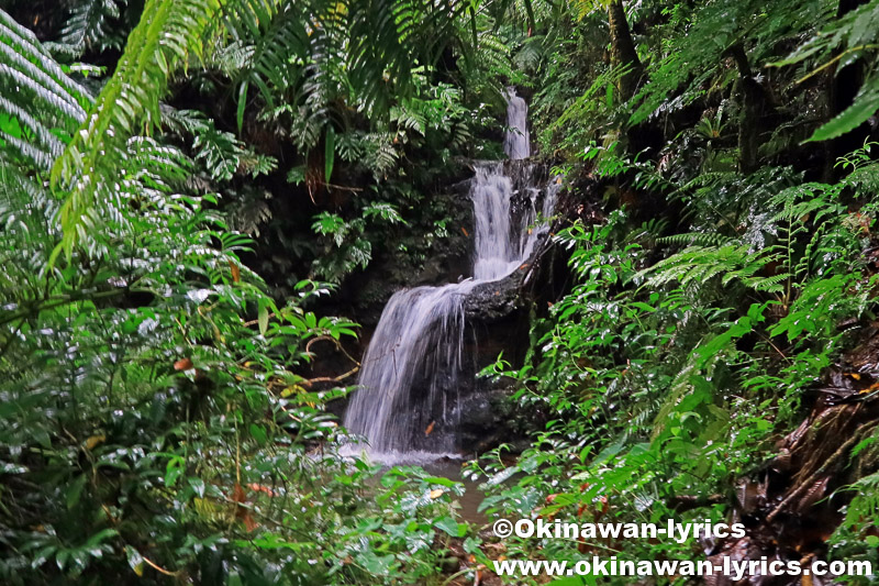 三段の滝@オマ山、コスラエ(ミクロネシア連邦)