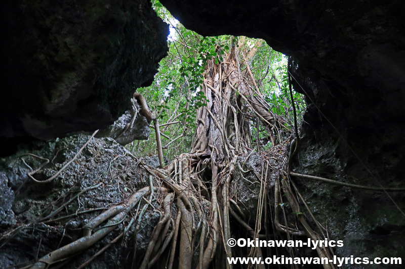 cave@モソ島(Moso island),バヌアツ