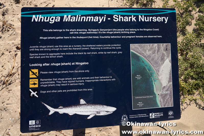Shark Sanctuary@コーラルベイ(西オーストラリア州)